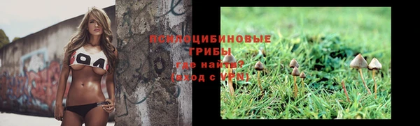 Альфа ПВП Волосово