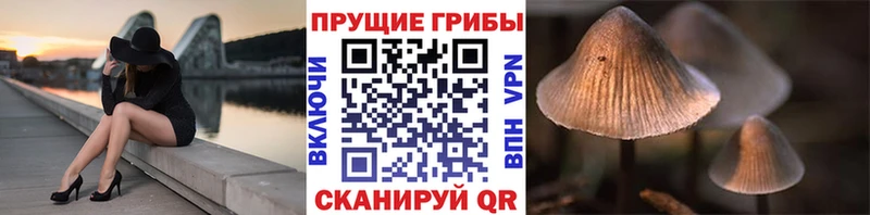 Галлюциногенные грибы ЛСД  Купить где  Приволжск 
